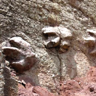 huellas de dinosaurio
