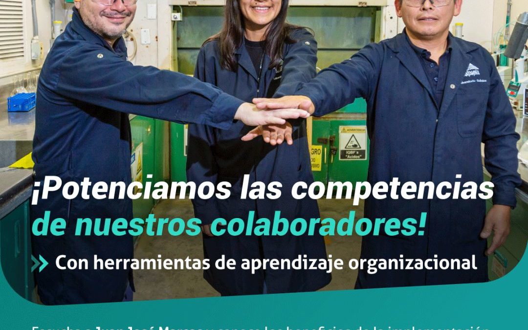 El aprendizaje organizacional en la minería